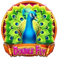 Double Fly screenshot
